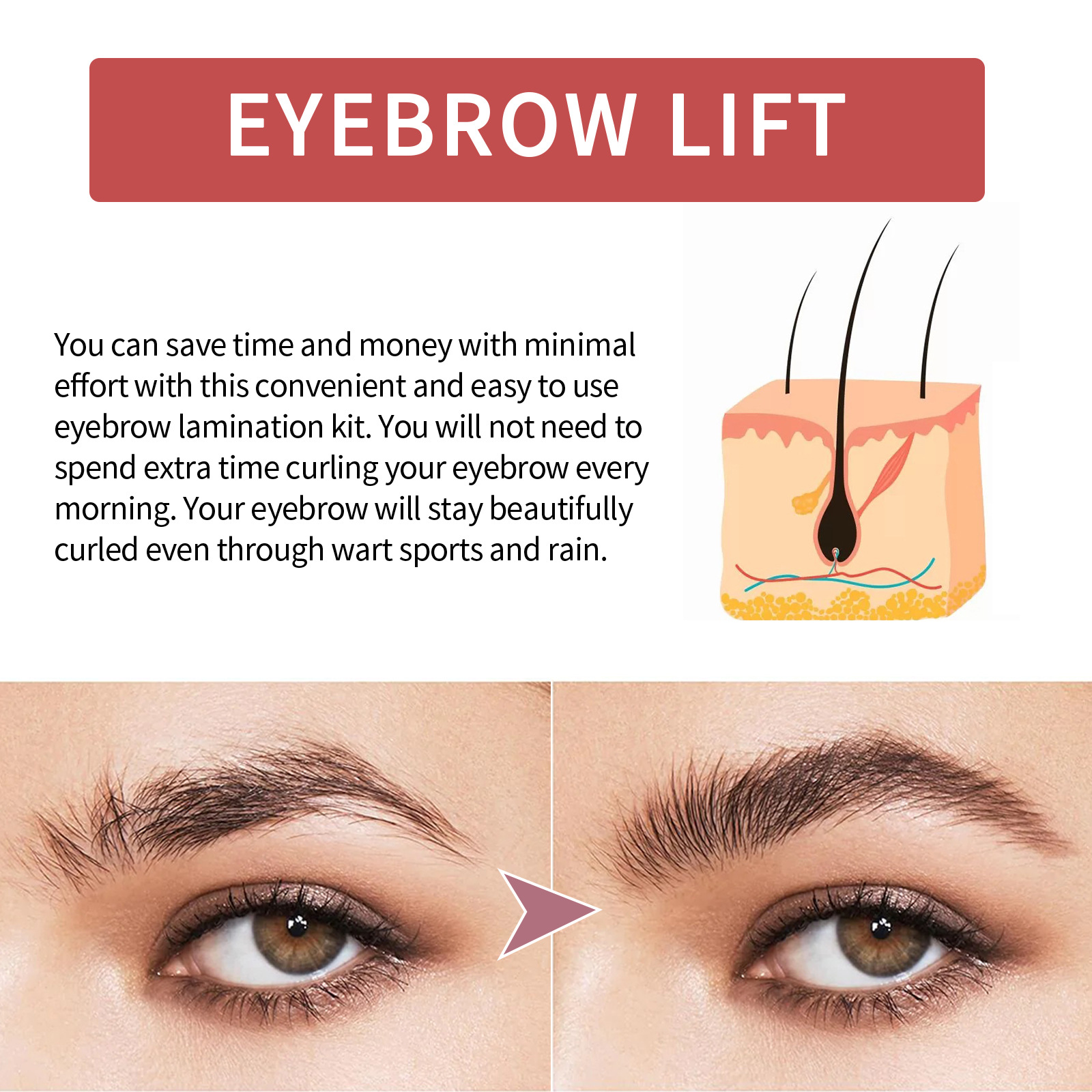 Eelhoe Eyebrow Laminating Set European and American Style Natural Eyebrow Long-Lasting Shaping DIY Cold Wave Eyebrow Shaping Set
