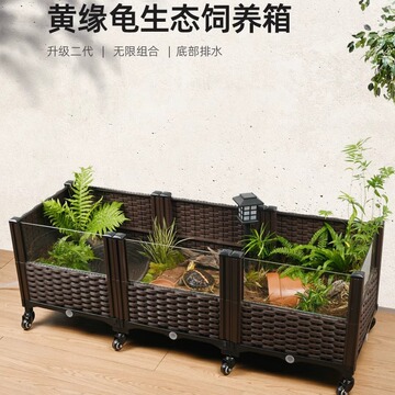 黄缘乌龟养殖箱安缘闭壳龟半水龟玻璃生态环境造景植物饲养缸