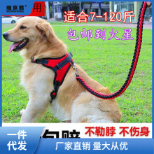 马犬牵引绳大型犬可伸缩金毛背心式小型狗绳中型狗狗脖圈遛狗神器