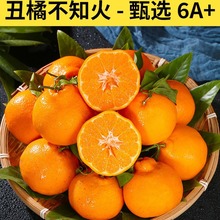 四川不知火丑橘新鲜水果10斤当季甜丑八怪耙耙桔柑橘子整箱旗舰店