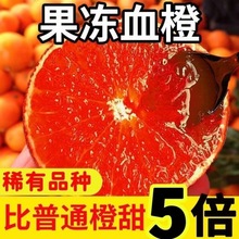 四川塔罗科血橙甜薄皮橙子当季新鲜孕妇橙子厂家批发跨境