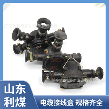 光纤接线盒厂家BHD-40/660（380）-4T矿用隔爆型低压电缆接线盒