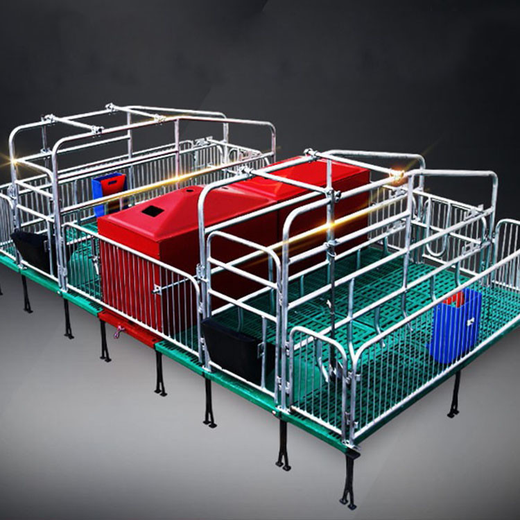 自焊母猪产床 热镀锌铸铁脚母猪产床 双体复合母猪分娩床-阿里巴巴