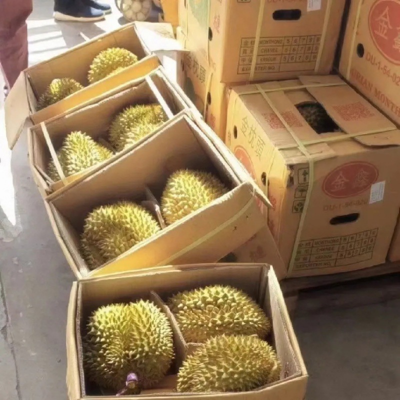 榴莲整箱20斤金枕头当季鲜果金枕一整箱顺丰包邮混批批发独立站