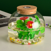 微景观生态瓶苔藓植物玻璃花瓶水培植物多肉玻璃瓶鱼缸斗鱼瓶带灯