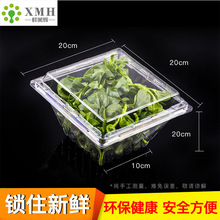 高端叶菜包装盒一次性透明塑料蔬菜打包绿橡叶生菜小白菜雪菜包邮