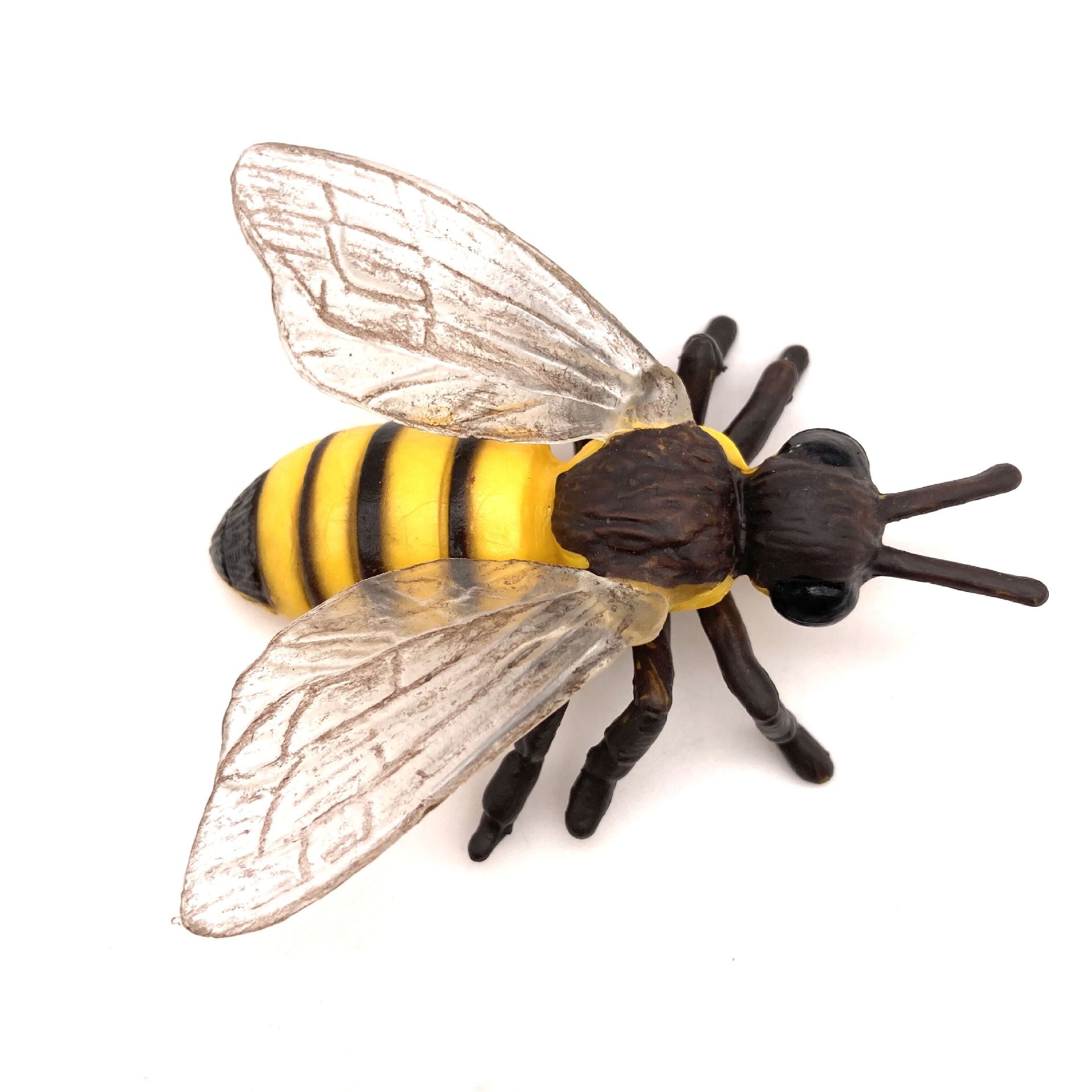 跨境仿真动物昆虫模型 知了 蝉 蜜蜂 蝉模型儿童认知实心玩具摆件