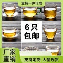 40HP加厚耐热玻璃小茶杯小把水杯个人品茗杯 功夫茶杯 双层小品杯