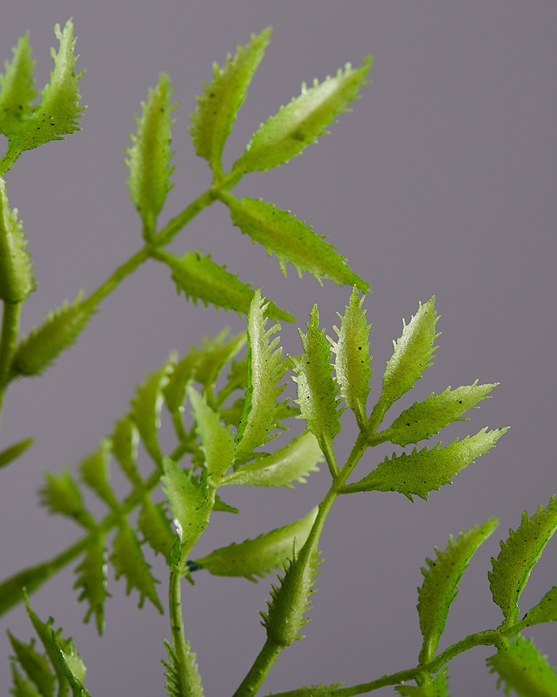 长条手感小羊齿蕨波斯草 仿真植物墙配材 白色小把束仿真花