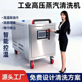 工业蒸汽清洗机 涂装前金属表面除油 干蒸无水分 蒸汽清洗机厂家