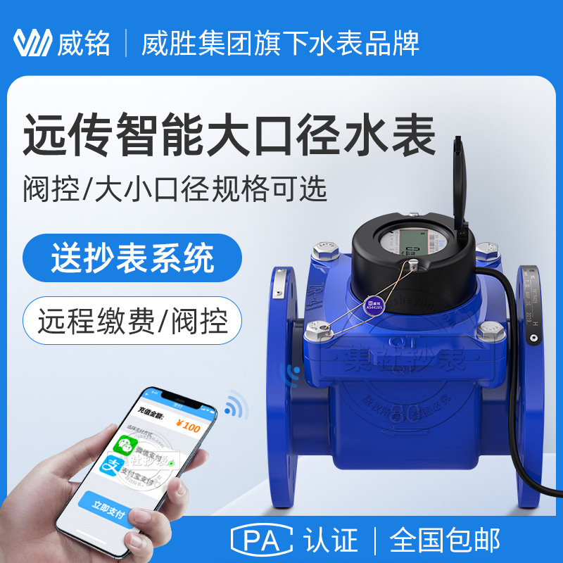 威胜威铭大口径可拆卸远传水表mbus远程预付费水表dn15dn200