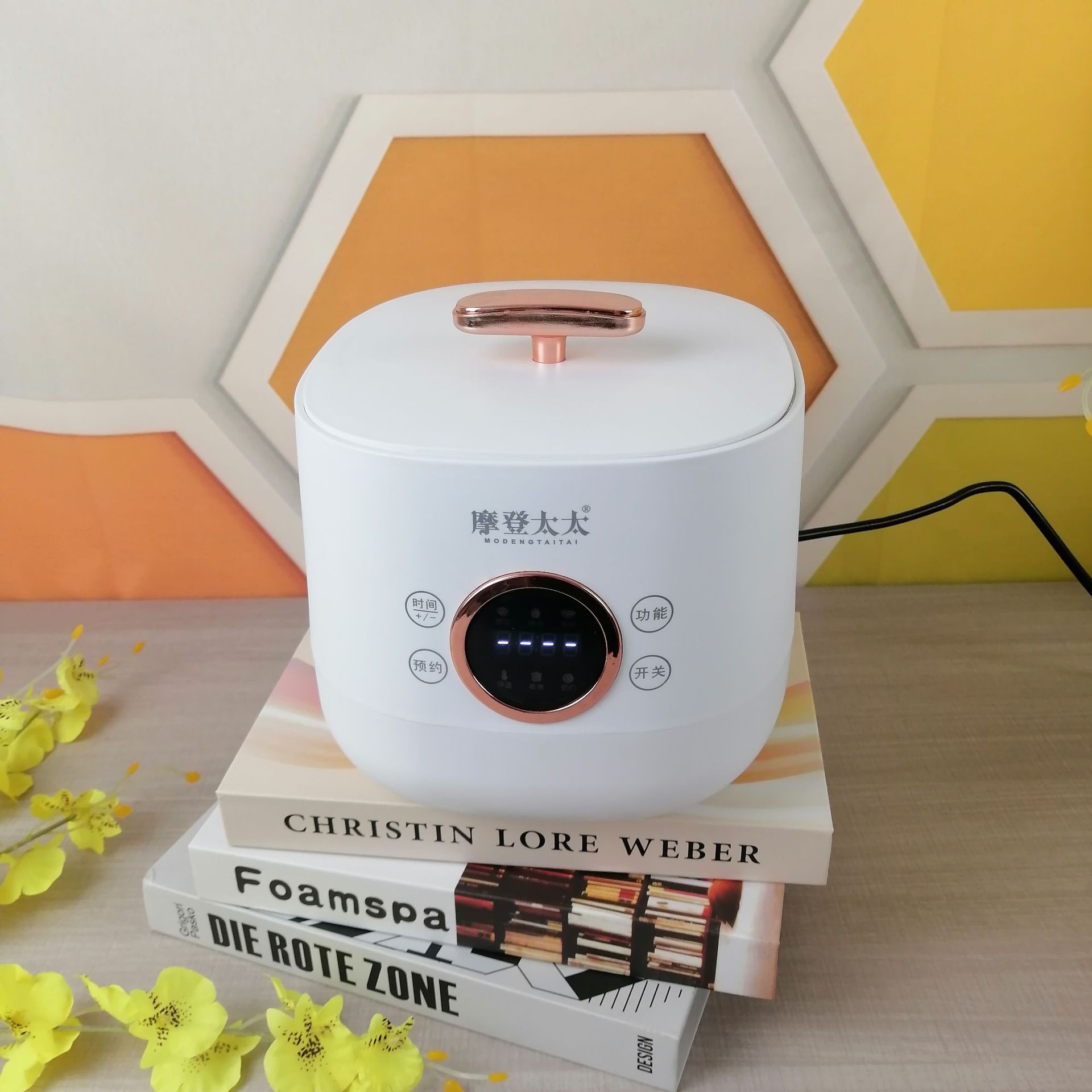 Modern Lady 2-4 People Multi-Functional Mini Smart Rice Cooker Manufacturers Kitchen Appliances Small Appliances Rice Cooker