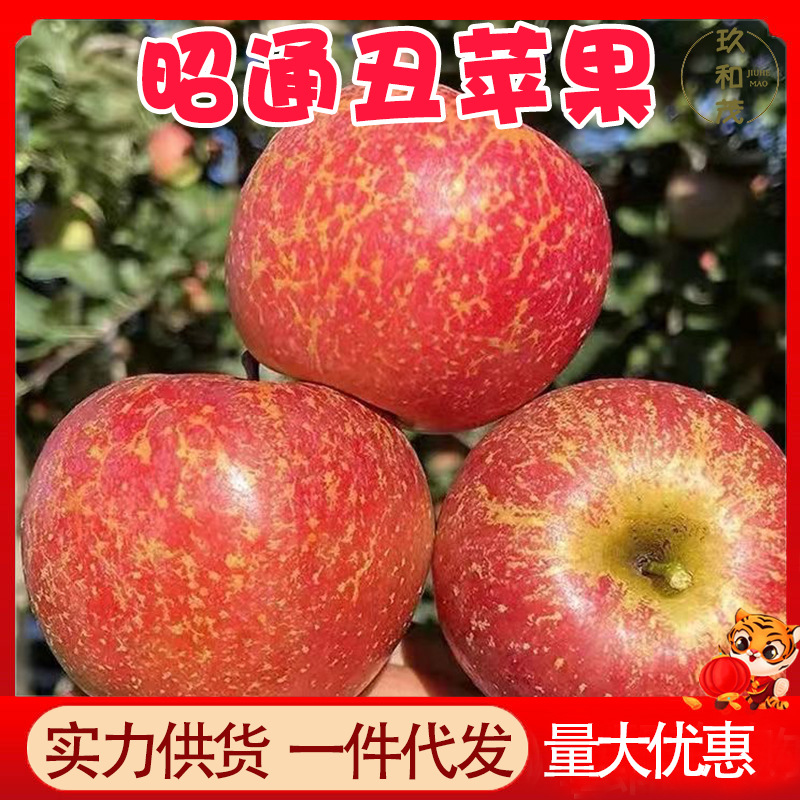 正宗云南昭通丑苹果9斤整箱当季新鲜孕妇水果10批发包邮5斤小苹果