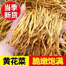 全新黄花菜干农家自产纯代发蒸制磺脆嫩爽口批发一件代发优质
