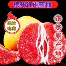 梅州正宗红心柚子甜三红蜜柚整箱批发红肉新鲜当季现摘水果中秋节