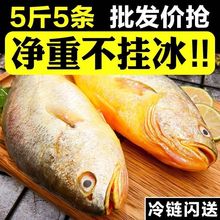 大黄鱼整箱东海大黄花鱼新鲜鲜活冷冻黄生鲜海鲜类批发水产大海鱼