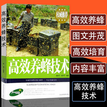 养蜂技术蜂病诊治与蜜蜂授粉技术教程书饲养原理与方法蜂病虫害及