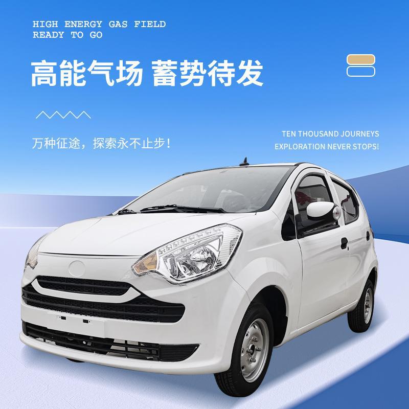 成人电动四轮车电瓶车家用接送孩子老年代步车新能源两厢电动车