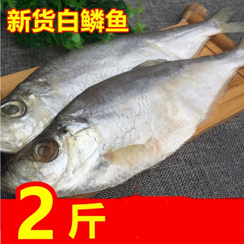 白鳞鱼咸鱼1000g咸鱼干咸香鱼清蒸鱼海鱼白磷鱼5成干-阿里巴巴