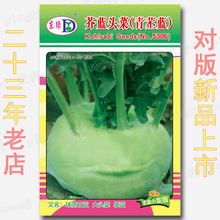 约500粒芥蓝头菜种子 芥兰头青苤蓝青丕蓝青丕兰球茎甘蓝青大头菜