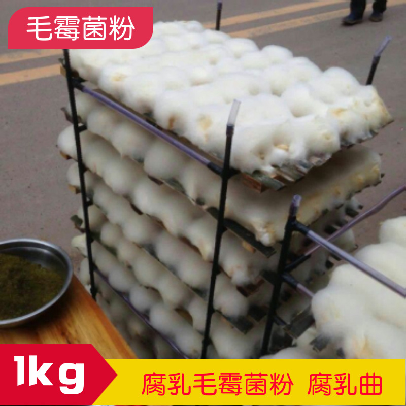 小家君毛豆腐菌毛霉菌粉霉豆渣霉千张腐乳曲1红臭豆腐菌曲粉