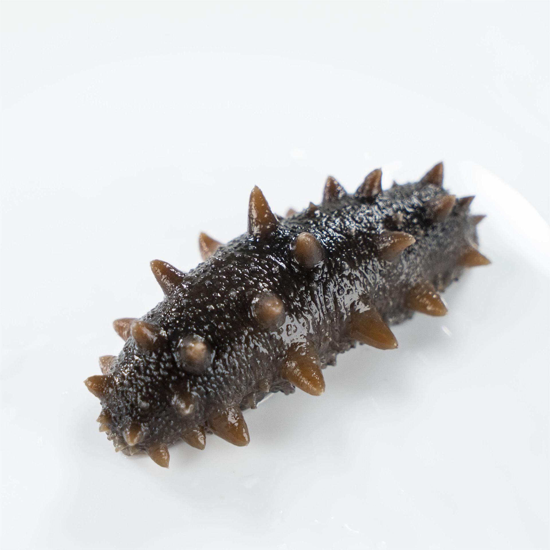 即食海参大连野生辽参刺参鲜参非干货冷冻即食海参单根水产品海参