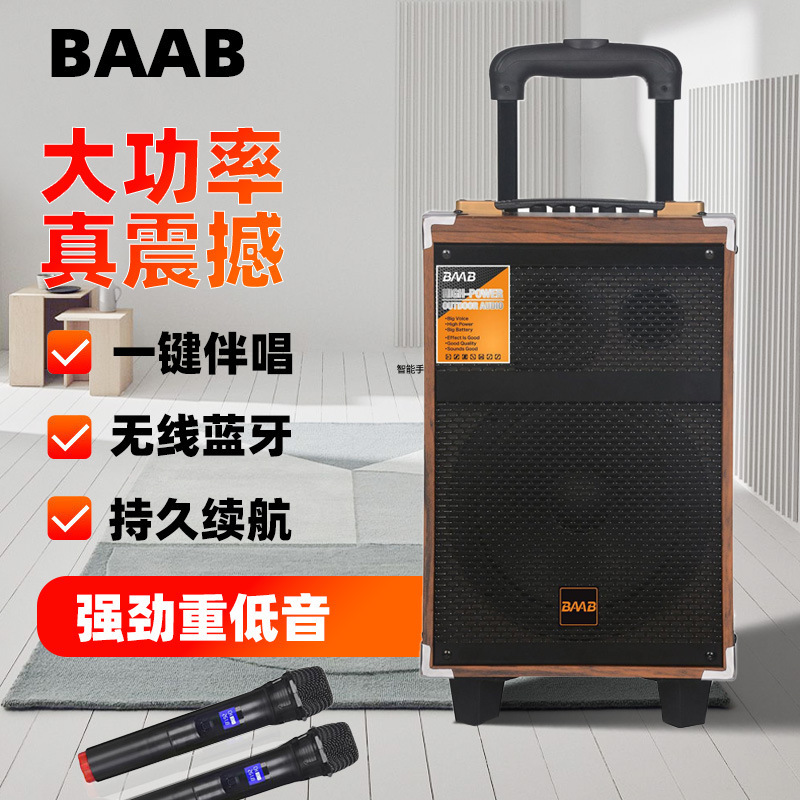 8寸木质蓝牙拉杆k歌广场舞音响户外k歌音箱大功率带无线话筒 跨境