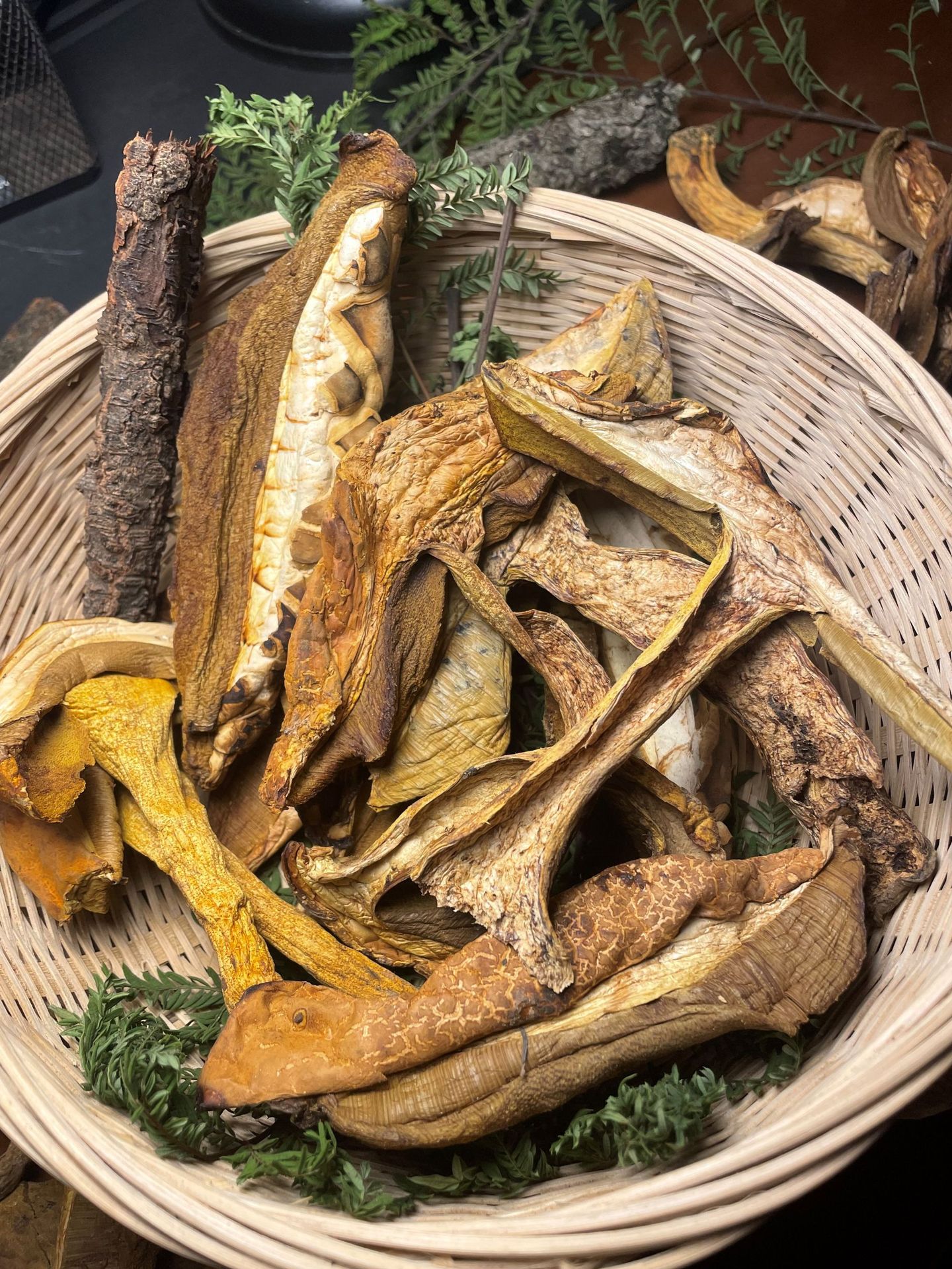 黄癞头野生菌现货批发黄梨头 黄牛肝 老虎头 干片熬汤菌菇