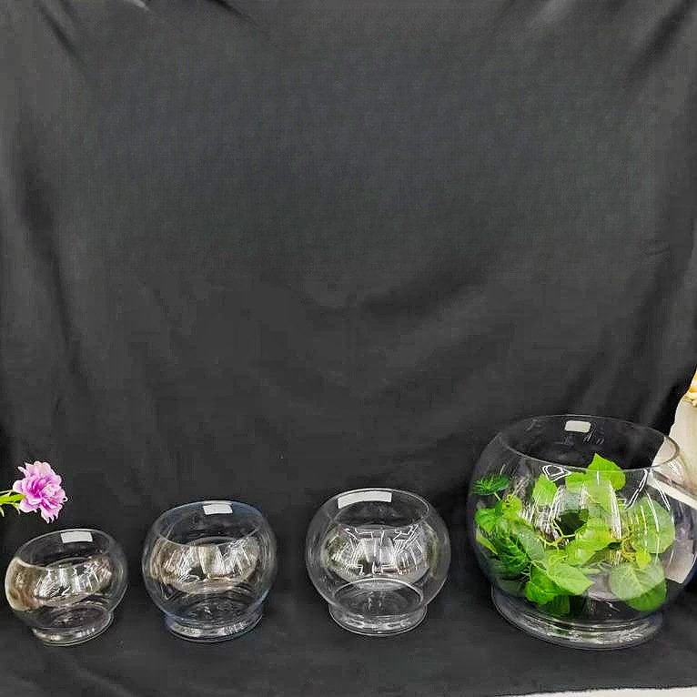 Creative with Bottom round Glass Fish Tank Household Living Room Turtle Jar Desktop Hydroponic Plant Transparent Vase Container