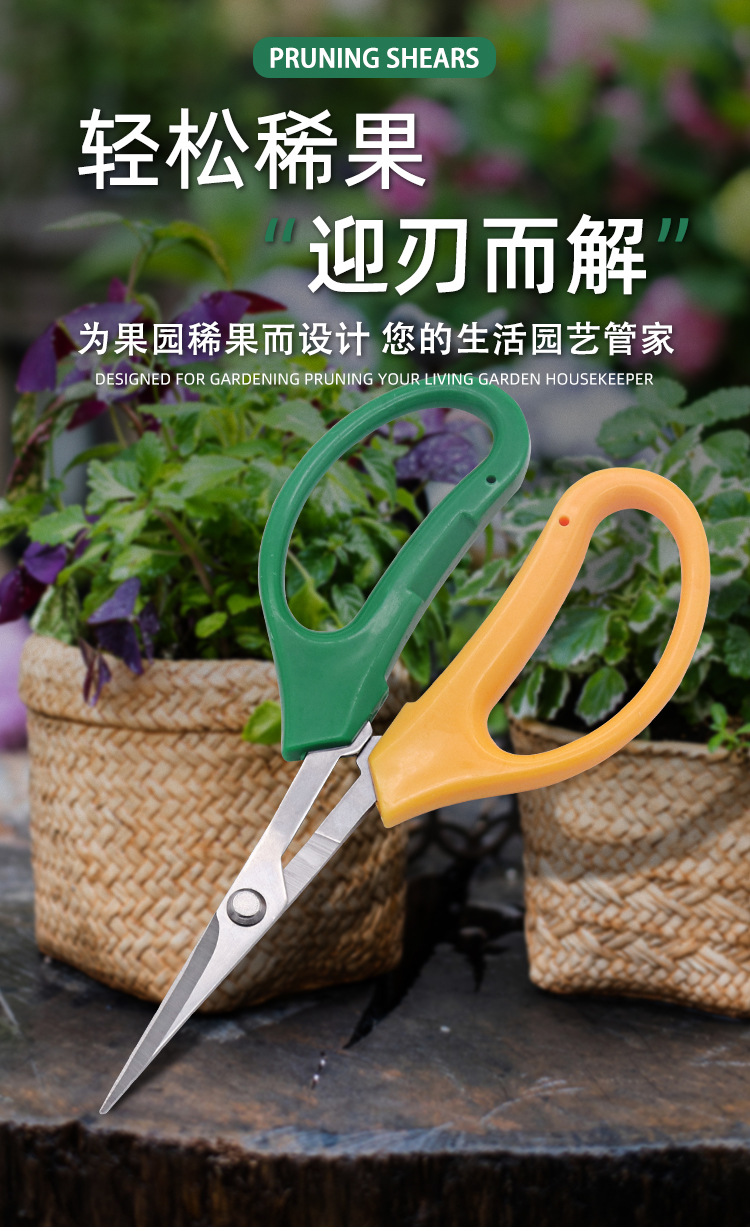 厂家批发葡萄修枝果剪刀 修枝剪采果剪 绿黄双色弯头蔬果剪