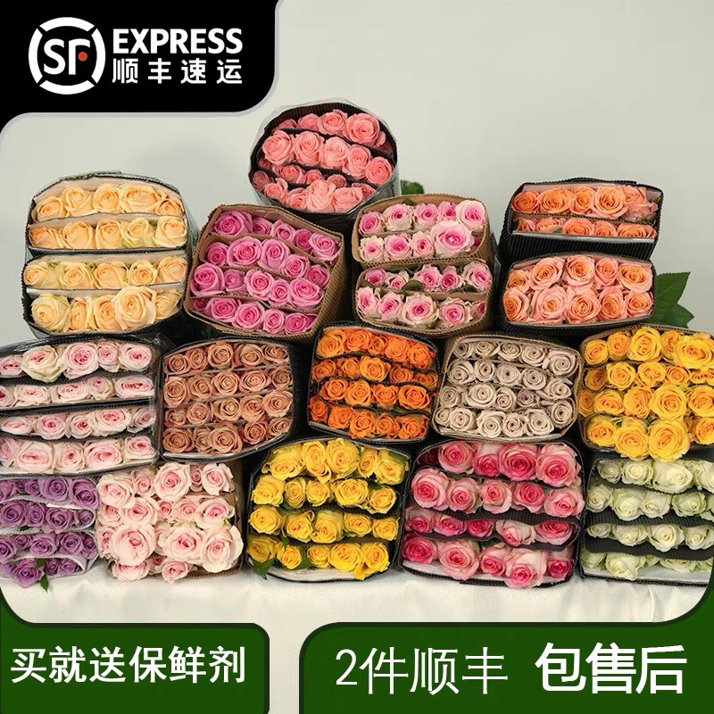 Rose Flowers Kunming Fresh Cut Flower Base Direct Wholesale Wedding Flower Shop Stall Teacher Goddess Gift Wholesale Group Purchase