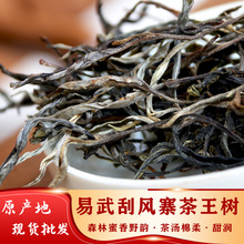 批发普洱茶刮风寨茶王树自产自销2023年头春易武古树茶生普散茶