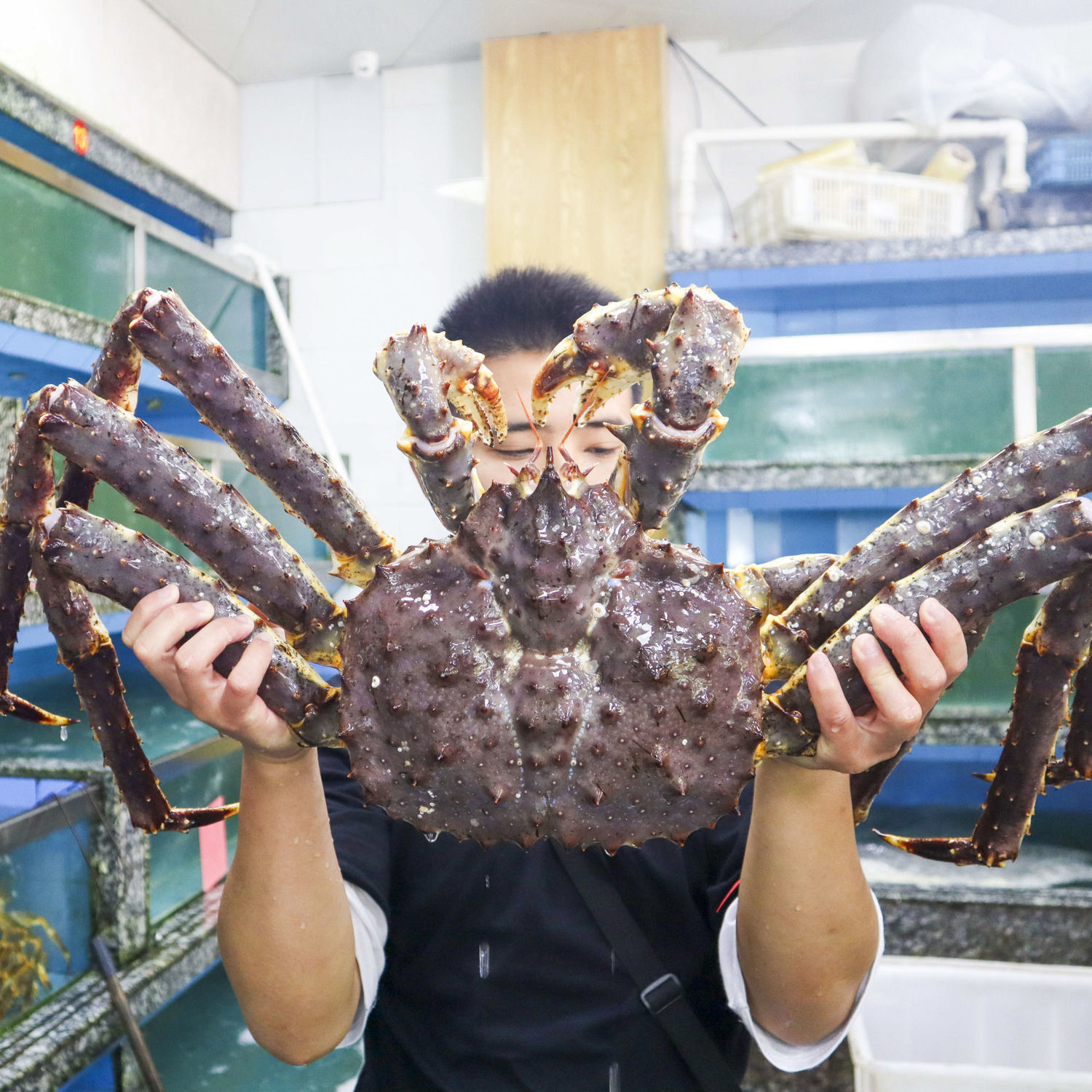 阿拉斯加帝王蟹鲜活生冻4-10斤超特大生冻海鲜水产长腿蟹帝皇蟹