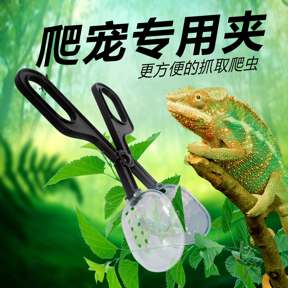 5成交9件相似诺摩长18cm弹性好宠物爬虫陆龟蜥蜴青蛙夹取喂食工具夜光