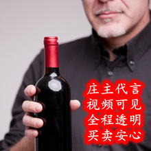 2023红酒招商 智利霞多丽 干白葡萄酒酒庄促销礼品团购自贸区批发
