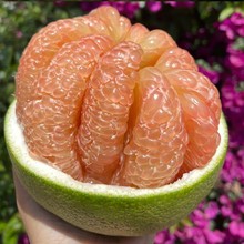 泰国进口翡翠柚4个红肉蜜柚青皮柚孕妇水果泰国红心柚子金柚包邮