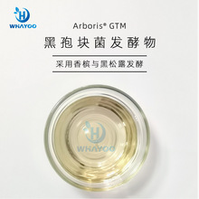 苮琇synsil有报送码黑松露酵母菌/葡萄发酵产物黑孢块菌提取物