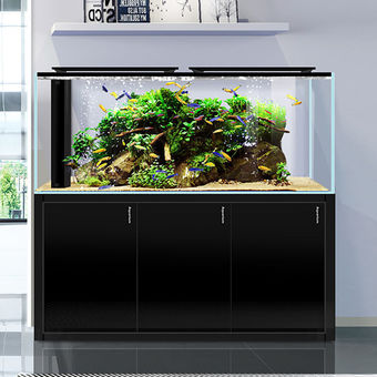 底滤鱼缸客厅小型桌面背草缸水族箱超白玻璃金鱼生态水草轻奢简约