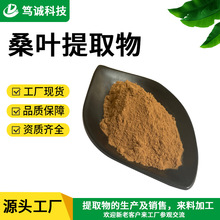 SC工厂 桑叶提取物 10:1 桑叶粉 桑叶浸膏粉 水溶桑叶粉 现货