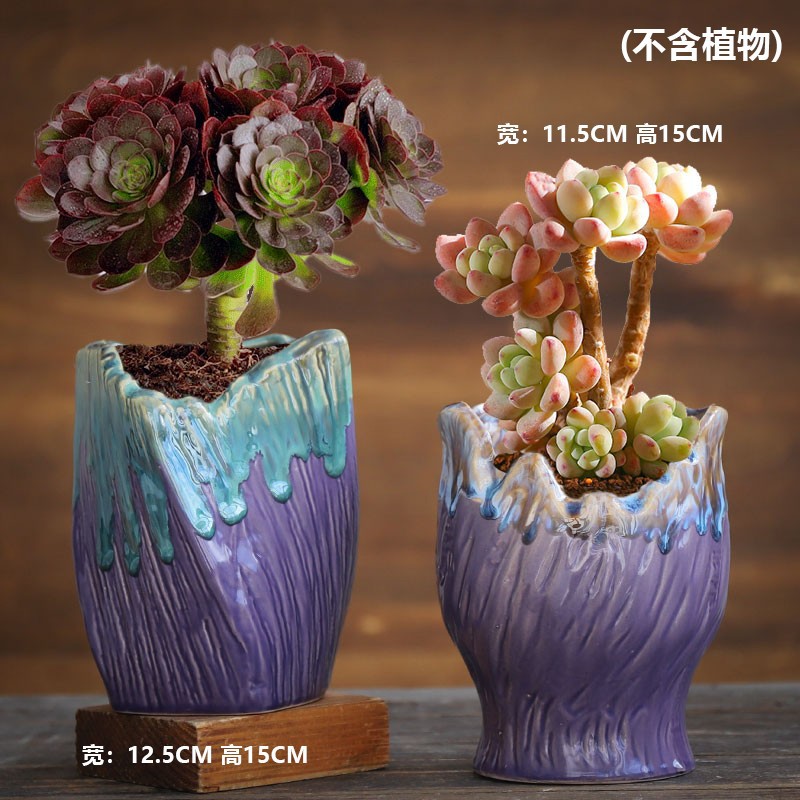 多肉花盆陶瓷粗陶透气大号口径老桩陶罐创意多肉植物