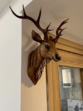 北欧树脂创意挂件仿真装饰墙面欧式头家居饰品壁挂鹿头背景墙动物