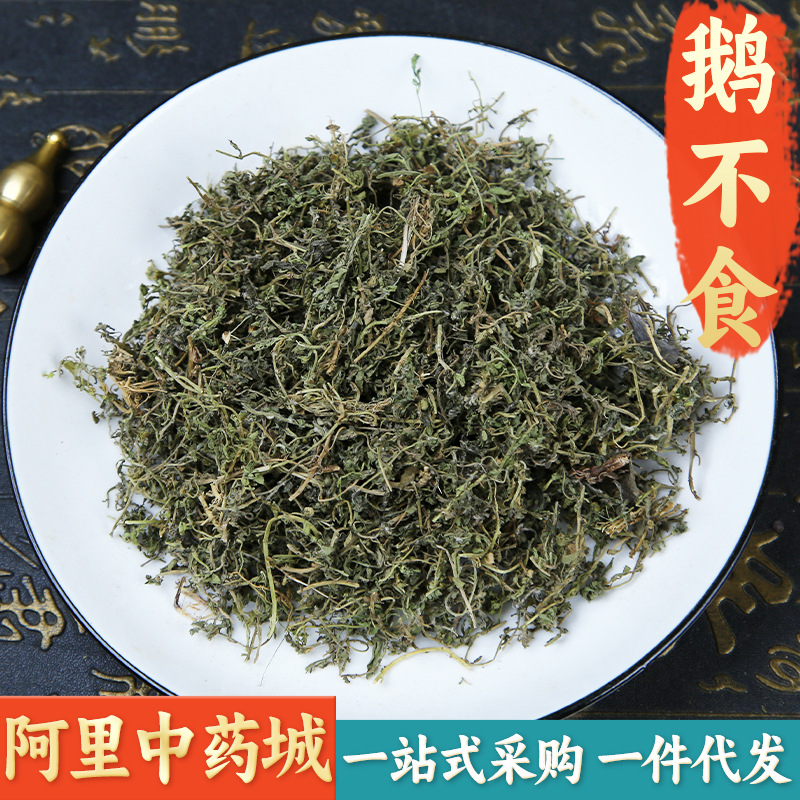 【精选货】鹅不食中药材 精选正品新鲜干货末鹅不食草粉饿不食草