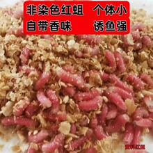 钓鱼饵料鲜活红蛆虫溪流石斑鱼马口公鱼鲫鱼白条野钓米粒蛆虫柳根