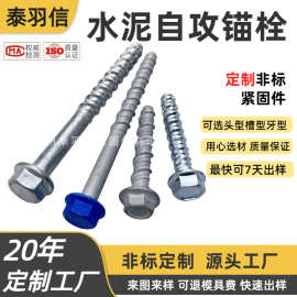 混凝土锚栓 水泥螺丝 自攻螺栓 源头厂家定制