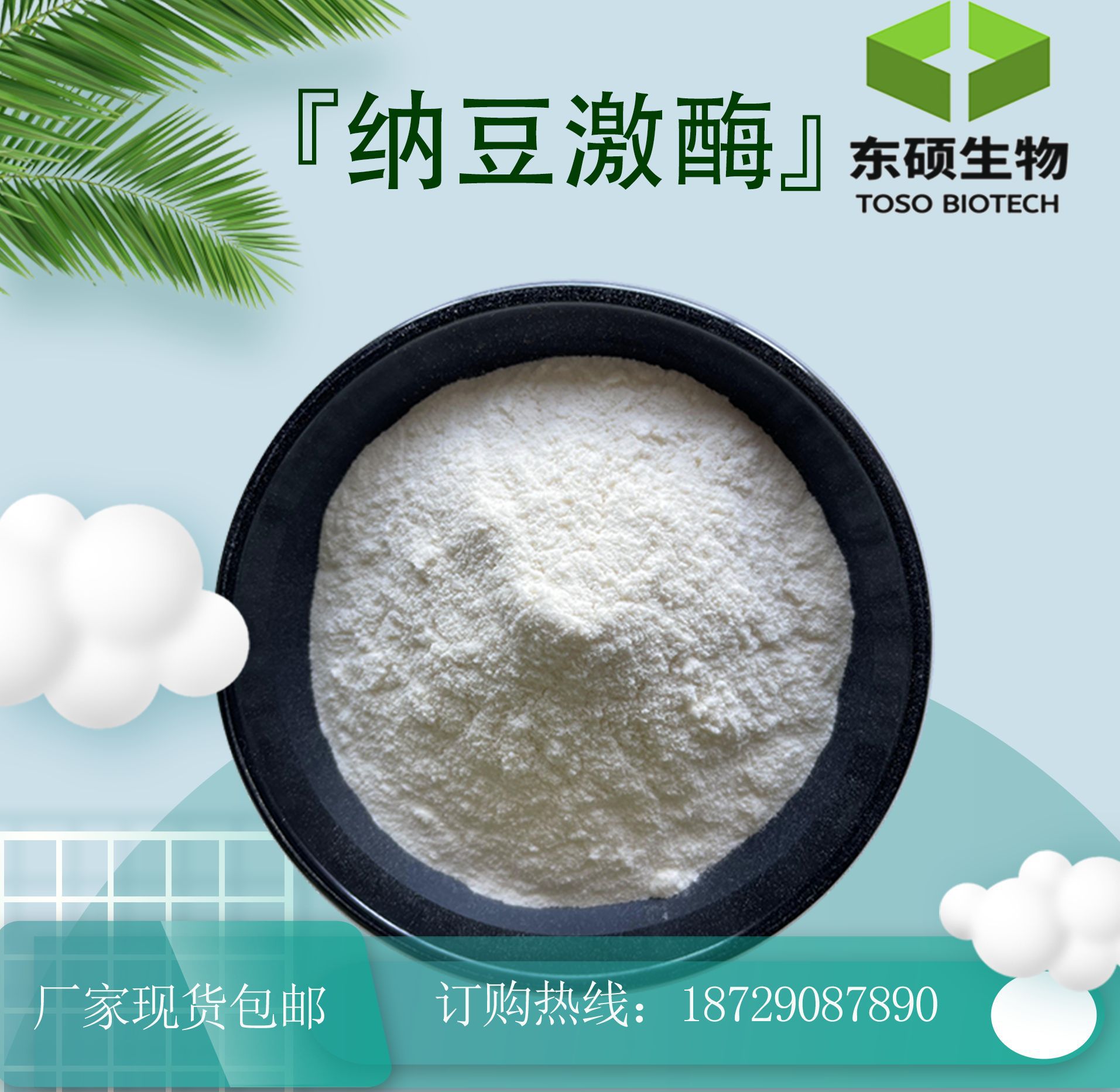 纳豆激酶20000fug纳豆提取物纳豆激酶粉纳豆酵素100g袋