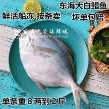 新货东海大白鲳鱼新鲜冷冻平鱼镜鱼深海鱼海鲜水产品单条重400g