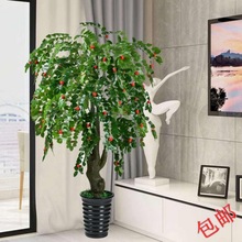 A里假树金钱果树仿真发财树植物落地办公室内装饰花盆客厅自然风