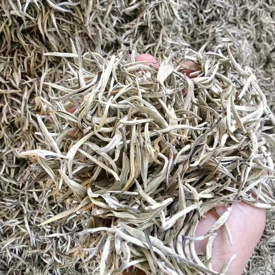 云南景谷百豪银针高山白茶蜜香月光白500克散茶批发 明前大白芽