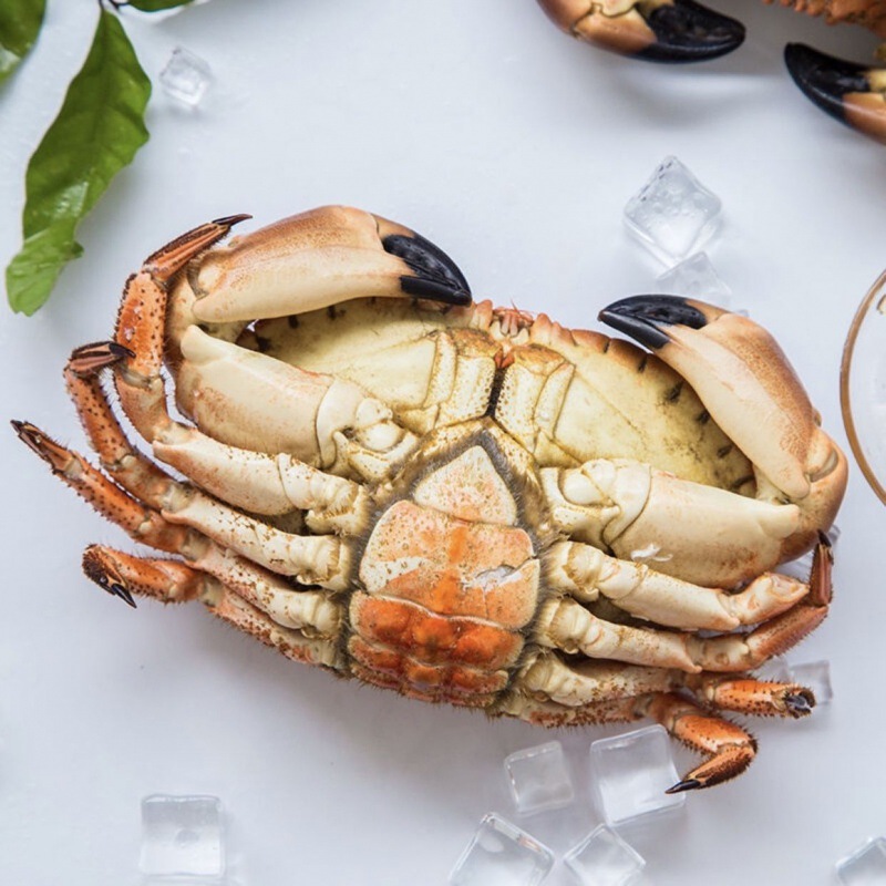 面包蟹英国大冰鲜活冻新鲜海鲜黄金帝王大龙虾东星斑量大从优包邮