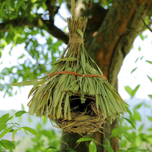 6BUJ鸟巢摆件自然角幼儿园森系植物角户外装饰微景观别墅庭院花园